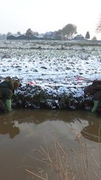 Muskusrat tergt waterschappen