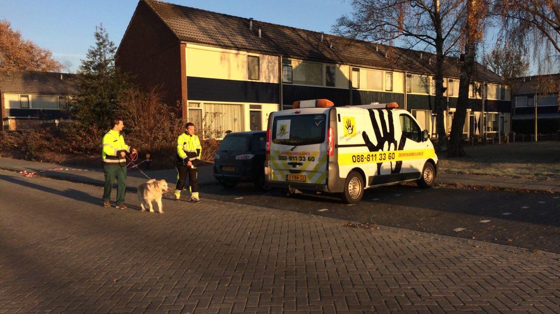 De hond overleefde de brand
(Rechten: Steven Stegen/RTV Drenthe)