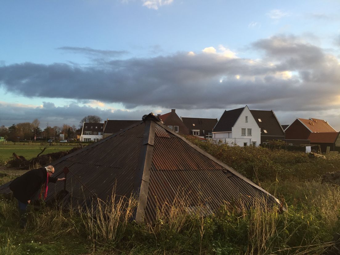 De langste uienren van Nederland staat op Goeree-Overflakkee