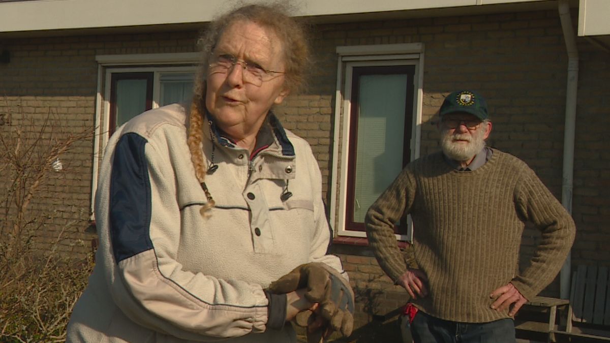 Tine wil geen boom in huis, wel een fiets