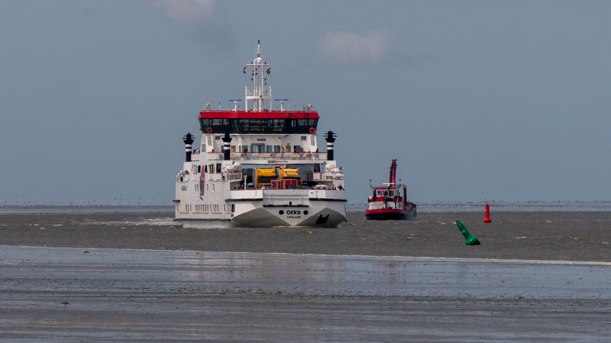 Schade door ongeluk bij Appelscha
