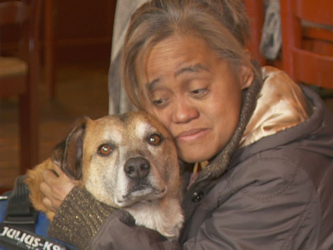 Hond Nicky blaft bewoners wakker bij brand in Warns: "Hij is onze held"