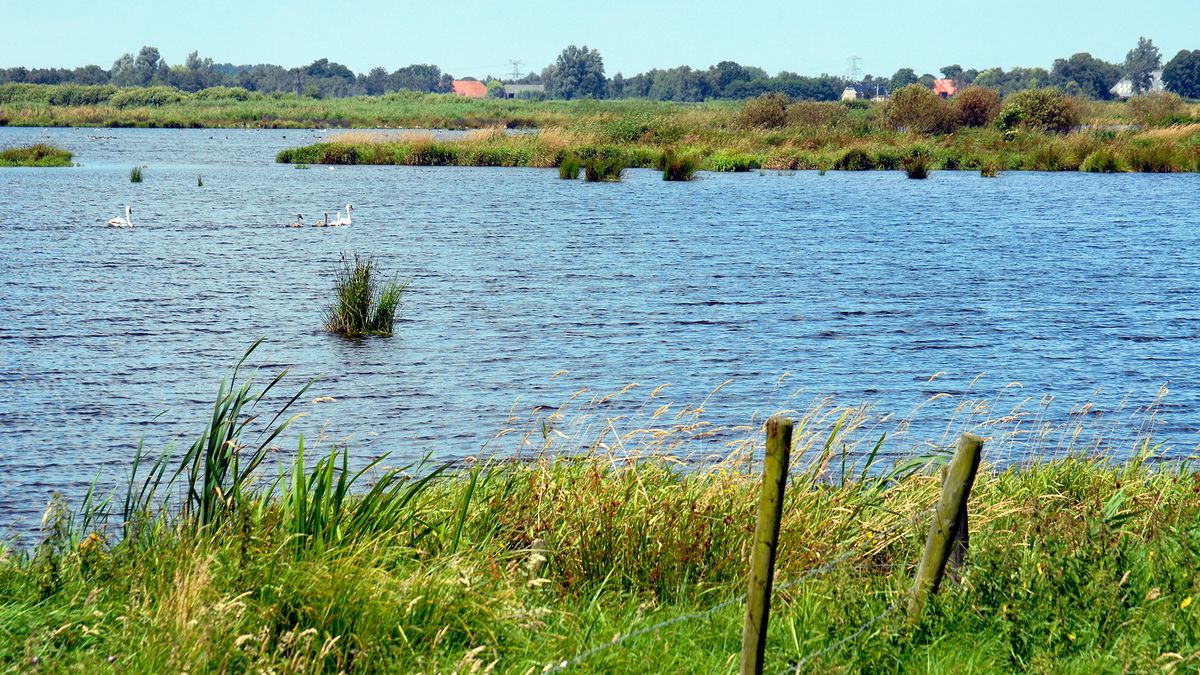 Staatsbosbeheer helpt natuur in Rottige Meente: 