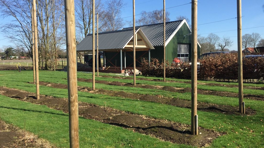 De hoptuin in Zuidbroek