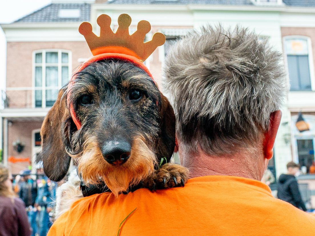 In Beeld: Koningsdag in Drenthe
