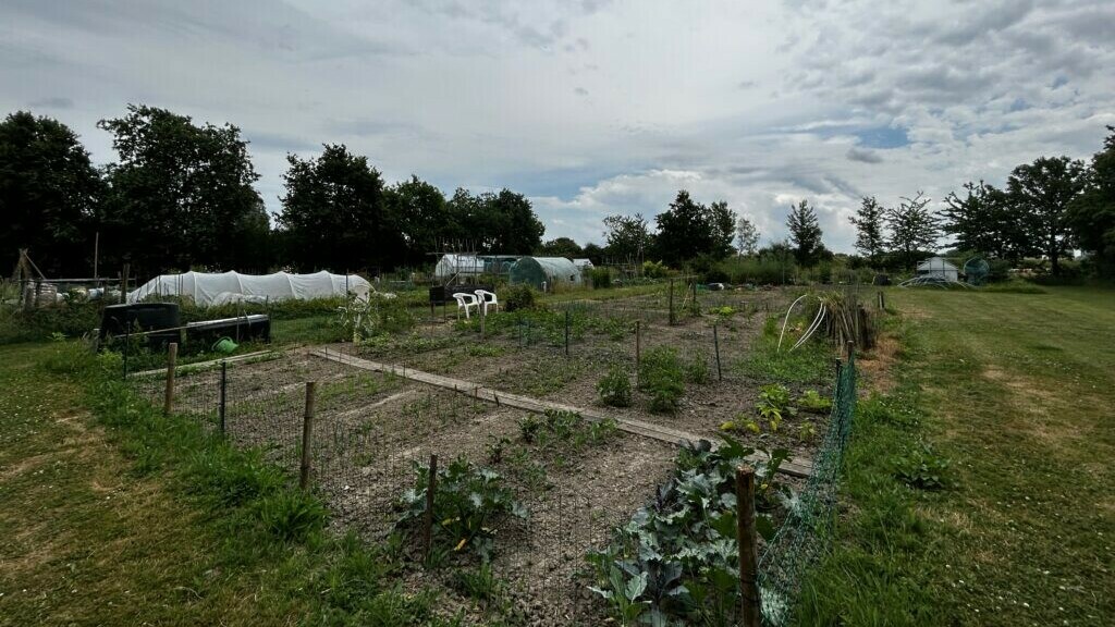 Gemeente Veere gaat alle volkstuinen controleren op PFAS