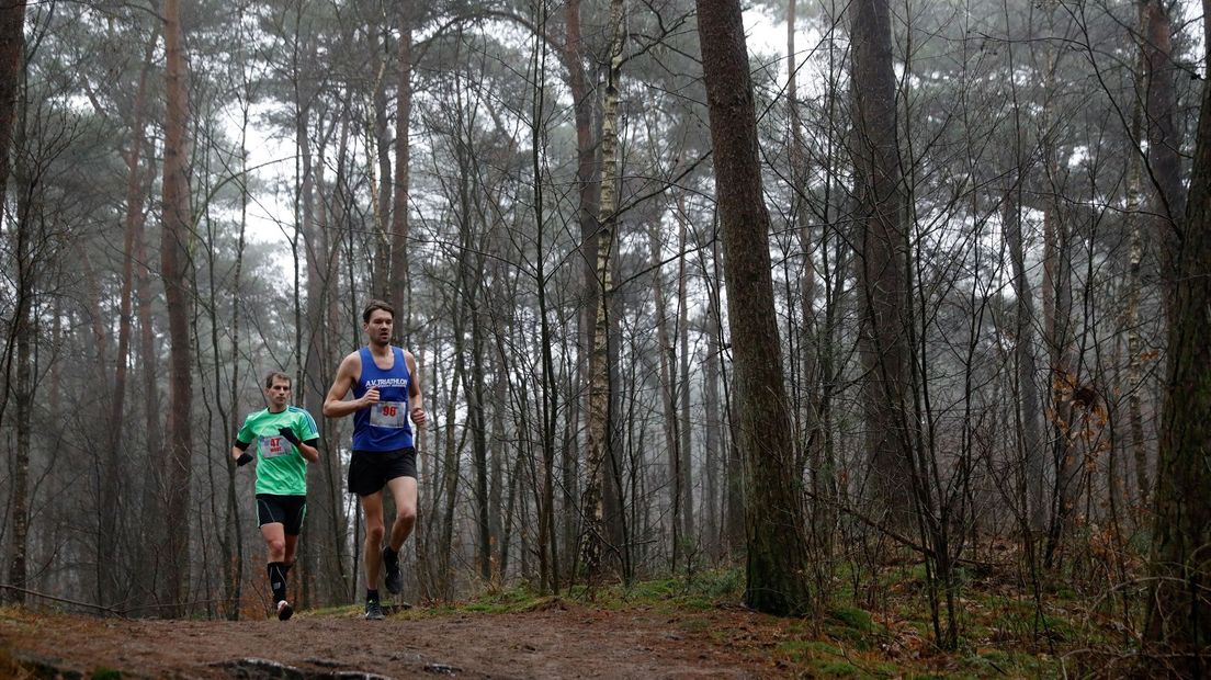 In Assen wordt een Bosmarathon gehouden (Rechten: ANP/Bas Czerwinski)