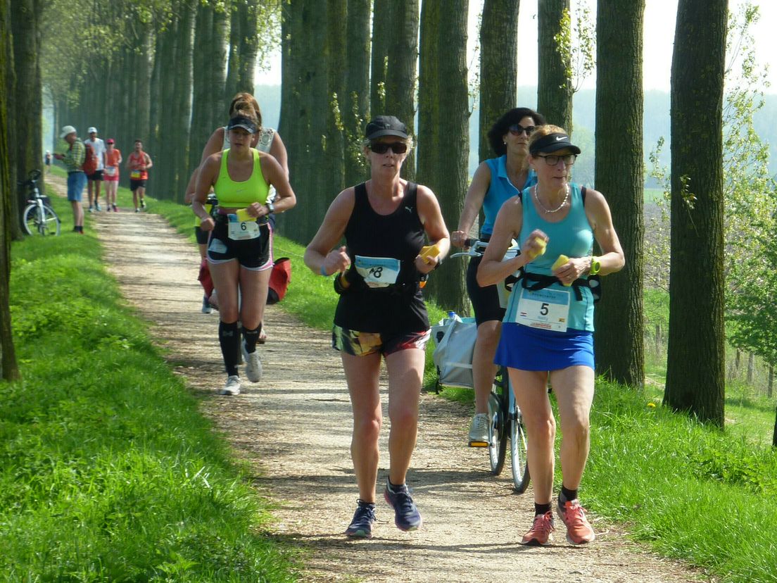 Alvast wat voorpret voor de Marathon Zeeuws-Vlaanderen: bekijk beelden van het parcours