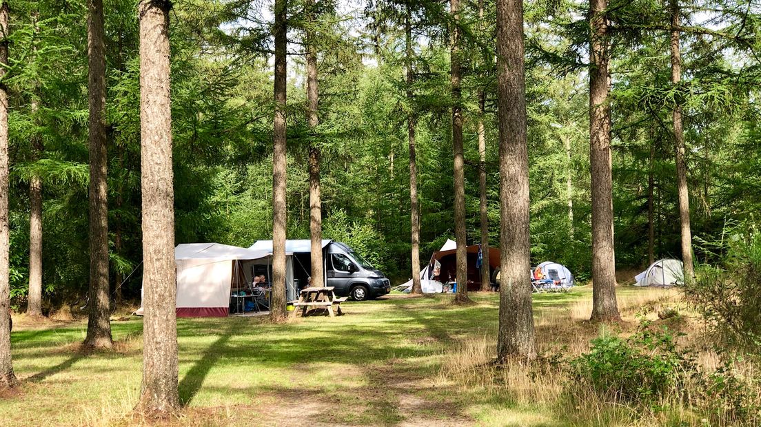 Ook de natuurcamping in Drouwen wordt steeds drukker (Rechten: RTV Drenthe/Wolter Klok)