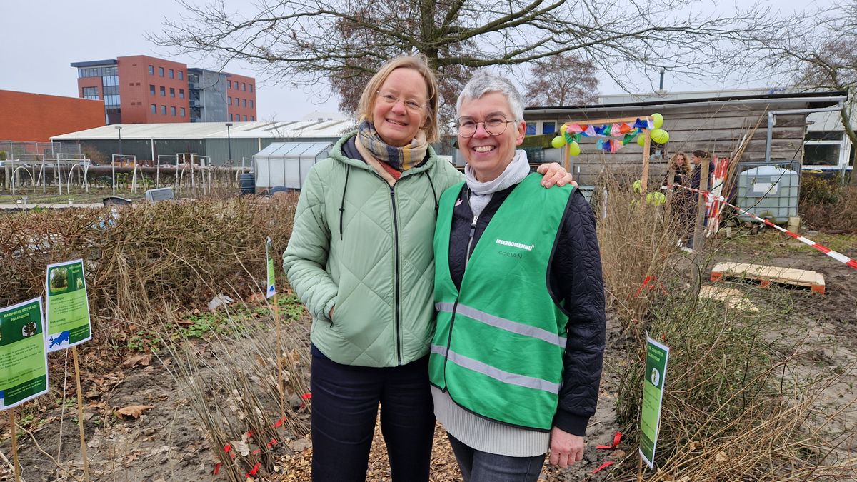2.000 jonge bomen verdwijnen niet in versnipperaar, maar worden gratis aangeboden