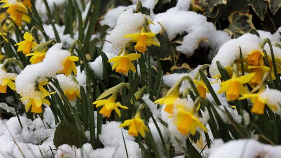 Eerst lenteachtig daarna winters: dit staat ons deze week te wachten
