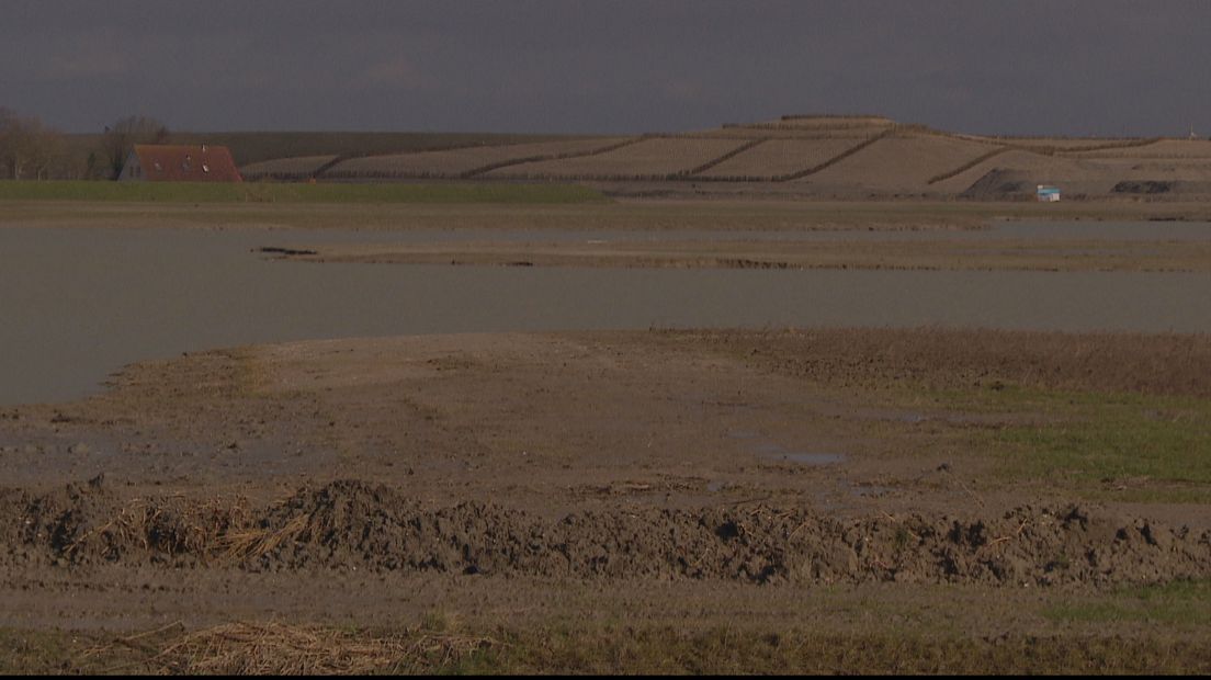 In 2017 moeten de kreken in Waterdunen vol lopen met zout water