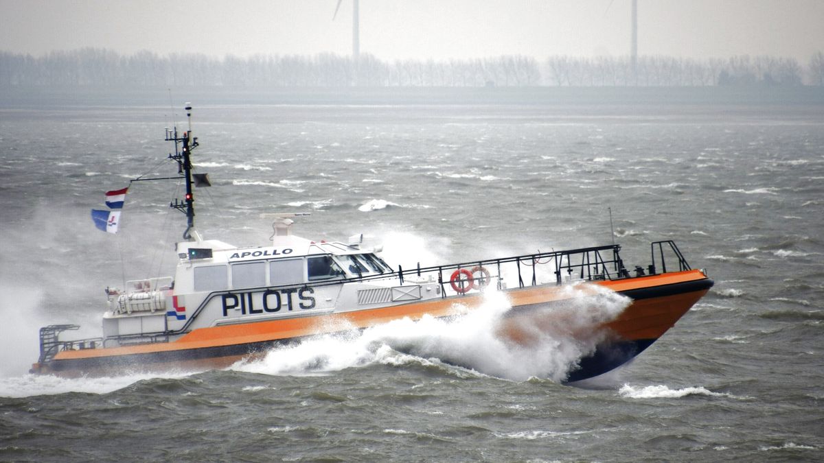 Nederlandse loodsen lopen tonnen mis door Belgische staking in havens: 'We zijn er echt klaar mee'