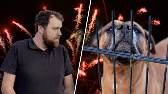 Dierenbescherming vreest jaarwisseling: ‘Dieren volledig in paniek’