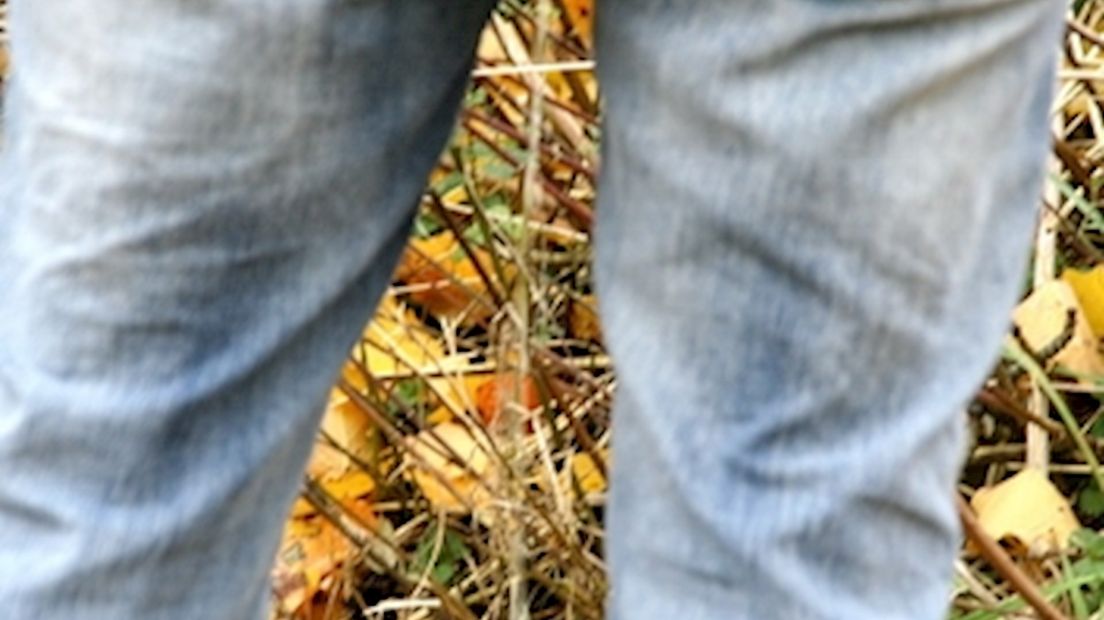 Wildplasser