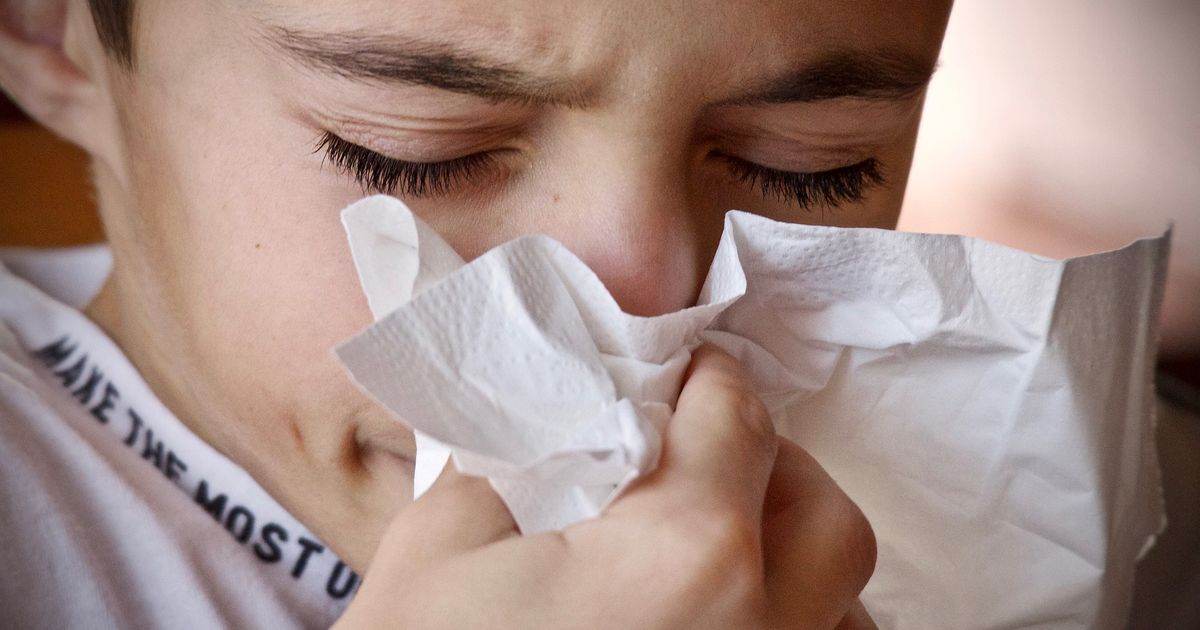 The cold season has started again, how do you prevent yourself from getting sick?