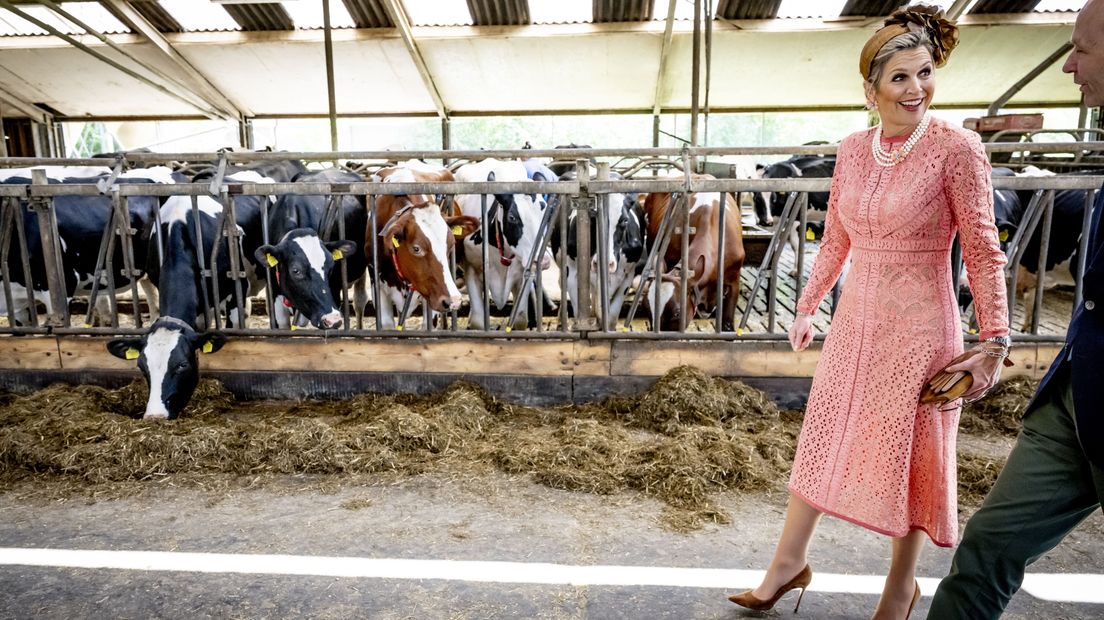 Máxima brengt op hoge hakken bezoek aan Stedumse koeienstal