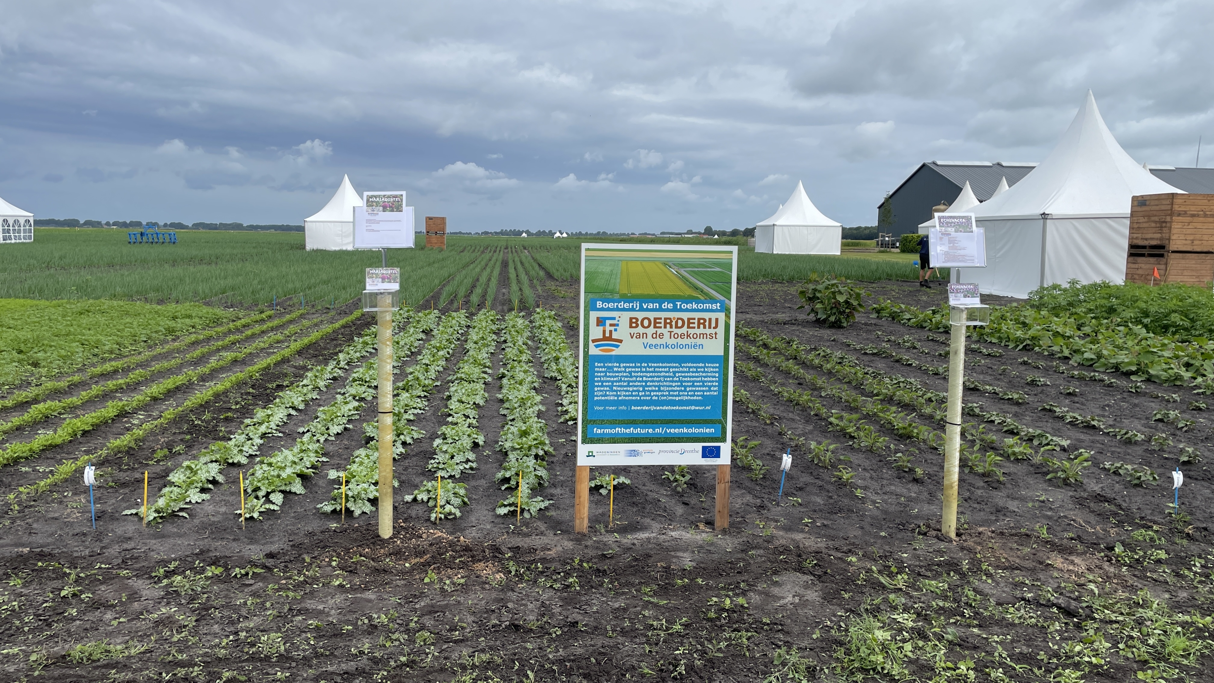 Veenkoloniën zetten volgende stap naar toekomst van de akkerbouw