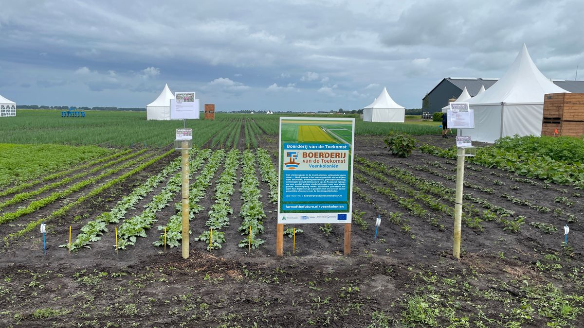 Boerderij van de Toekomst krijgt half miljoen subsidie: 'Belangrijk voor kringlooplandbouw'