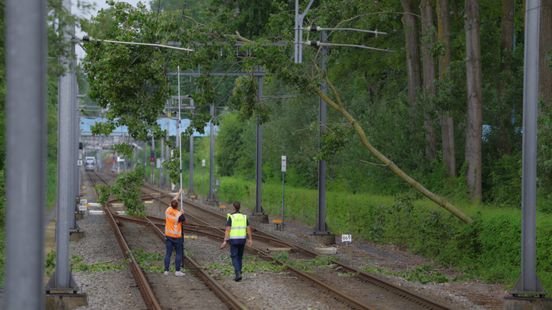 Grote tak breekt af en valt op bovenleiding tram Home