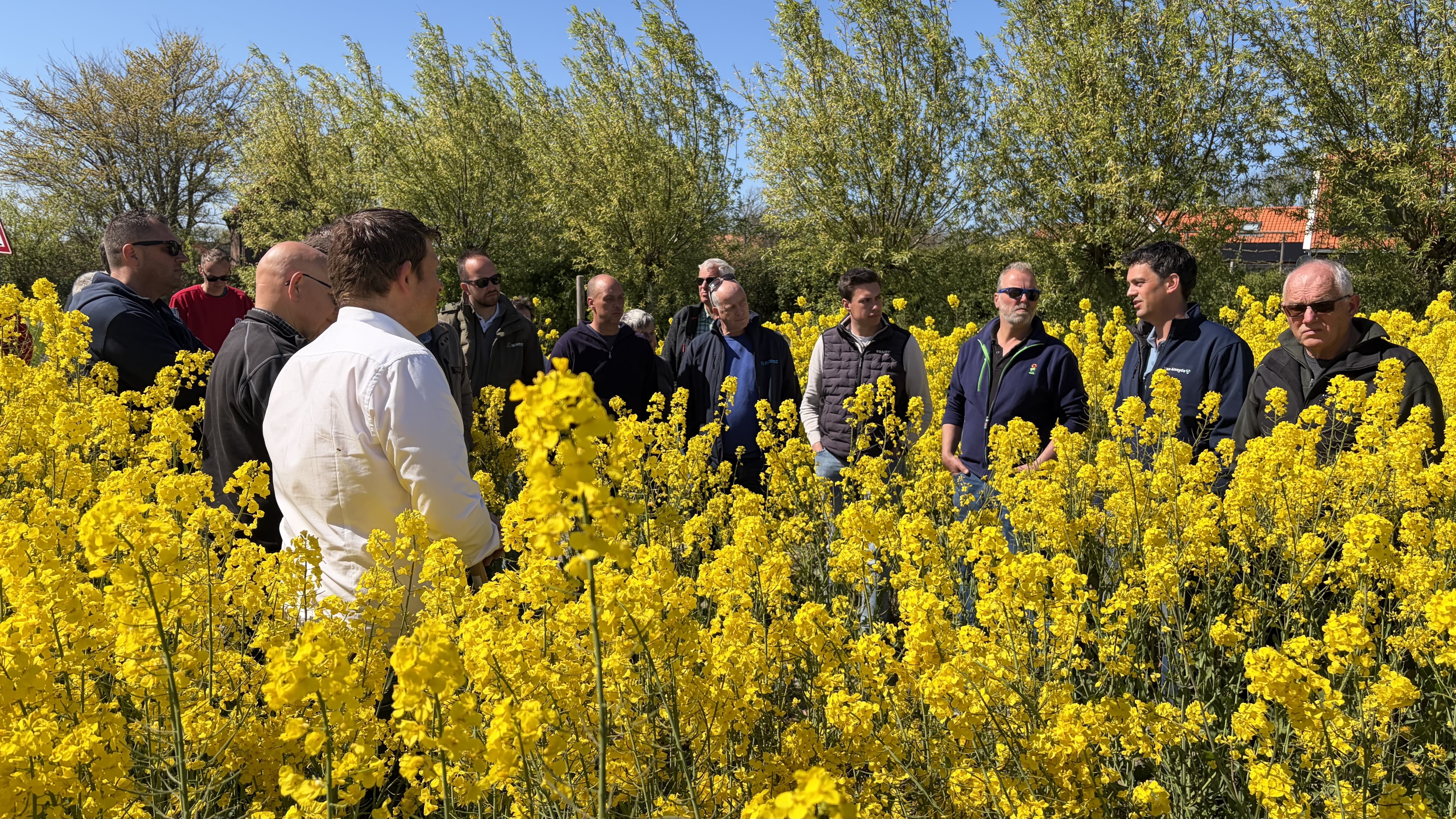 Boeren ontdekken koolzaad tijdens bijeenkomst in Ellemeet