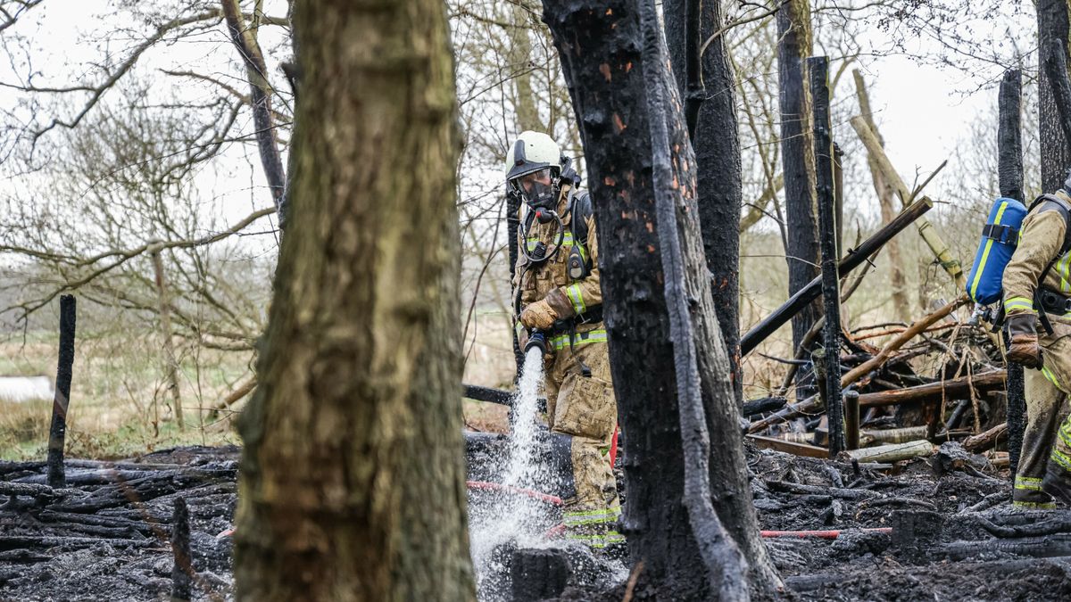 Droogte in Drenthe neemt toe: 'Oude heide, grassen en riet zijn potentiele brandstoffen'