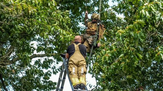 Militaire parachutist belandt in boom