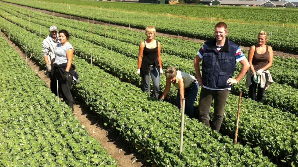 Meer Polen werken in Drenthe