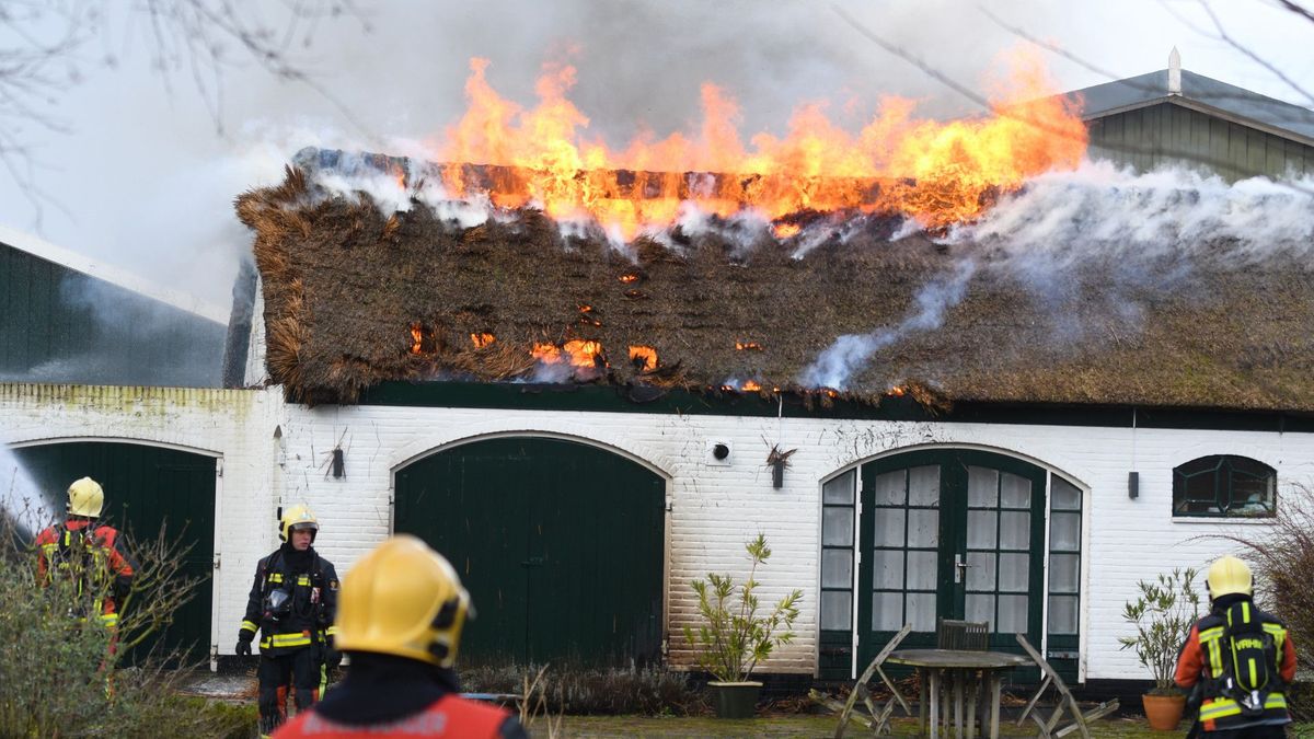 Brand in boerderij met rieten dak in Aarlanderveen