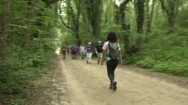 Wandelen voor mentale gezondheid