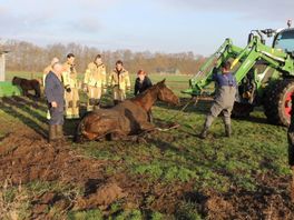 112-nieuws: paard overleden na val in sloot, politiemotor betrokken bij ongeluk