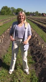 Zelf je asperges steken