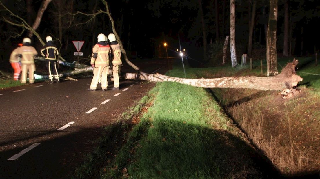 Brandweer Holten verwijdert omgewaaide boom op Espelodijk