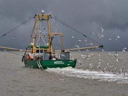 Waadferiening nei rjochter fanwegen talitten garnalefiskerij