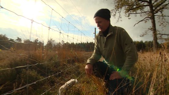 Zoektocht naar waterdicht wolfwerend raster