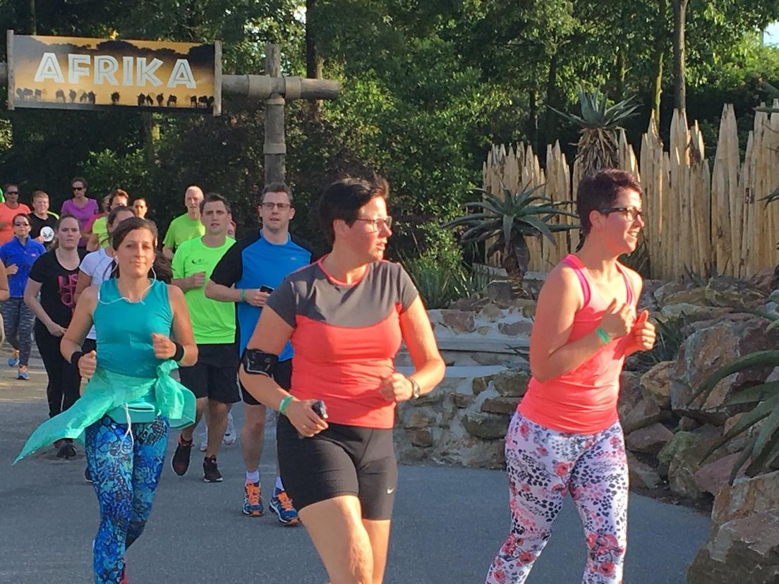 Hardlopen in Diergaarde Blijdorp