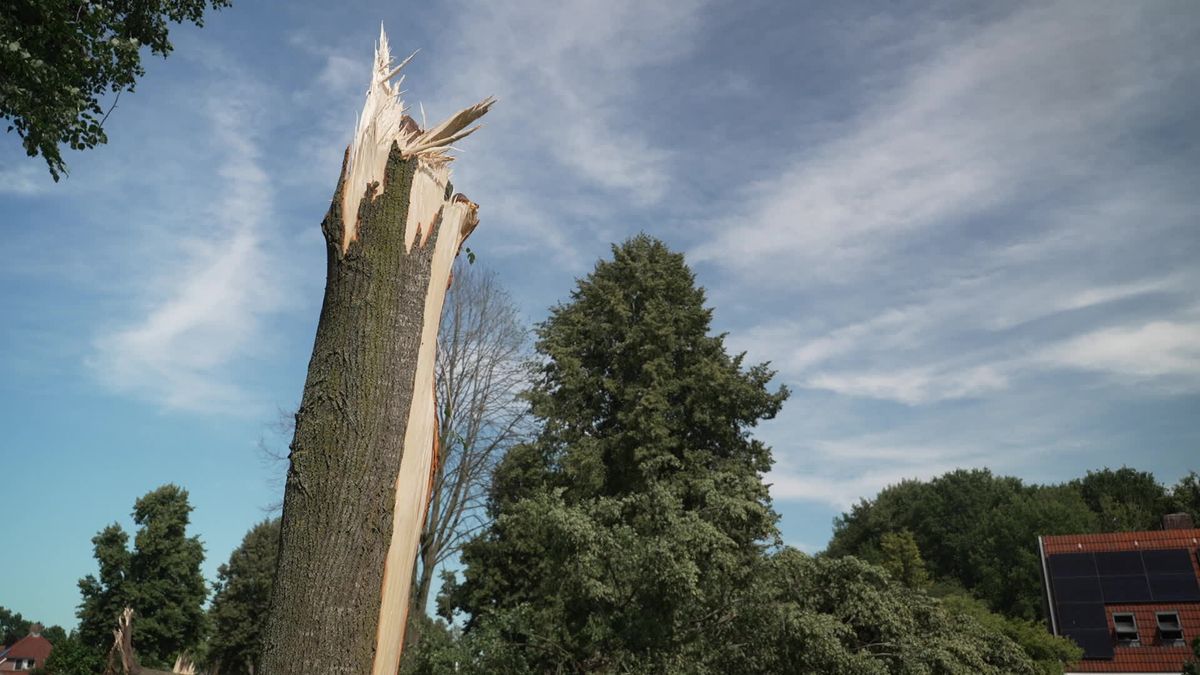 Bomen knakken als luciferstokjes in Beilen