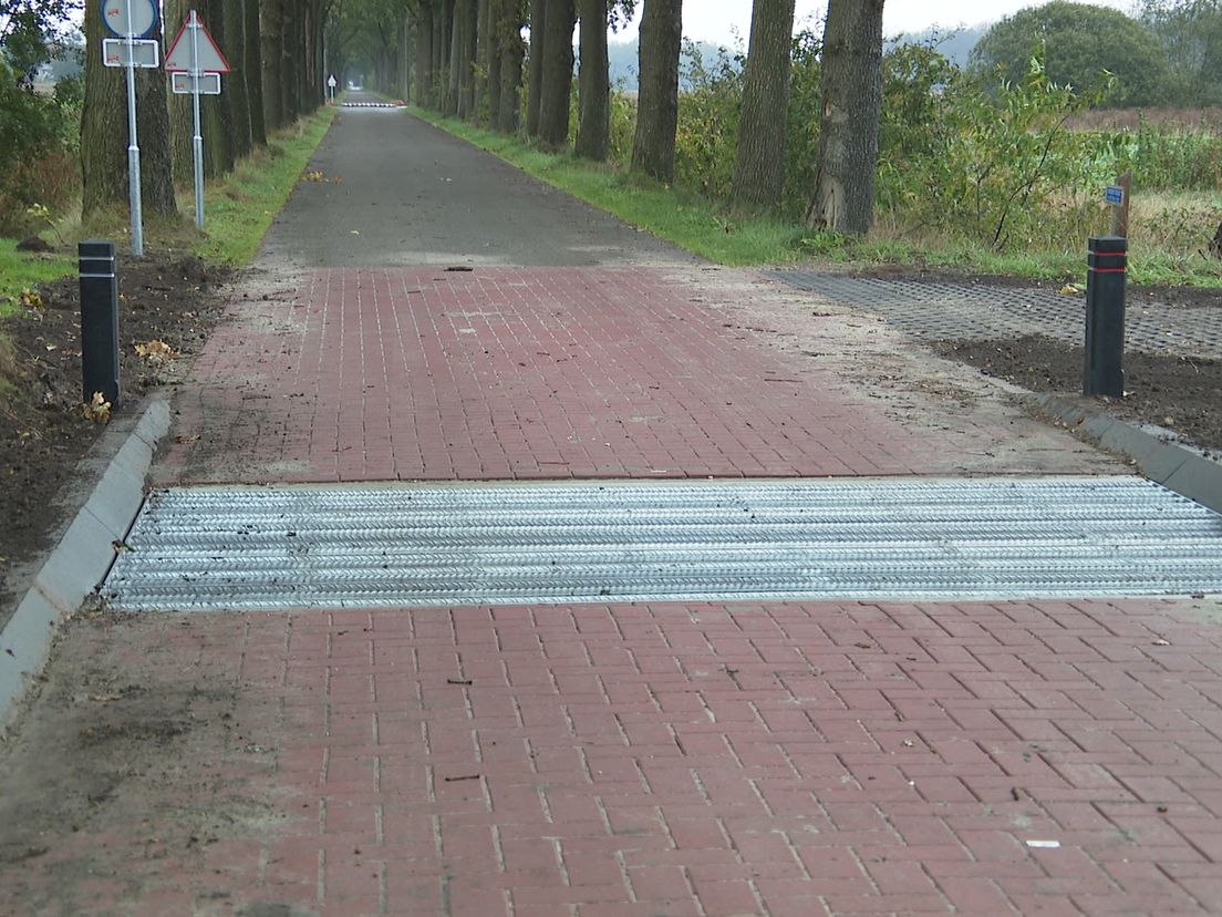 Koeien mogen voortaan deelnemen aan verkeer: begrazingsgebied in Oude Willem bijna klaar