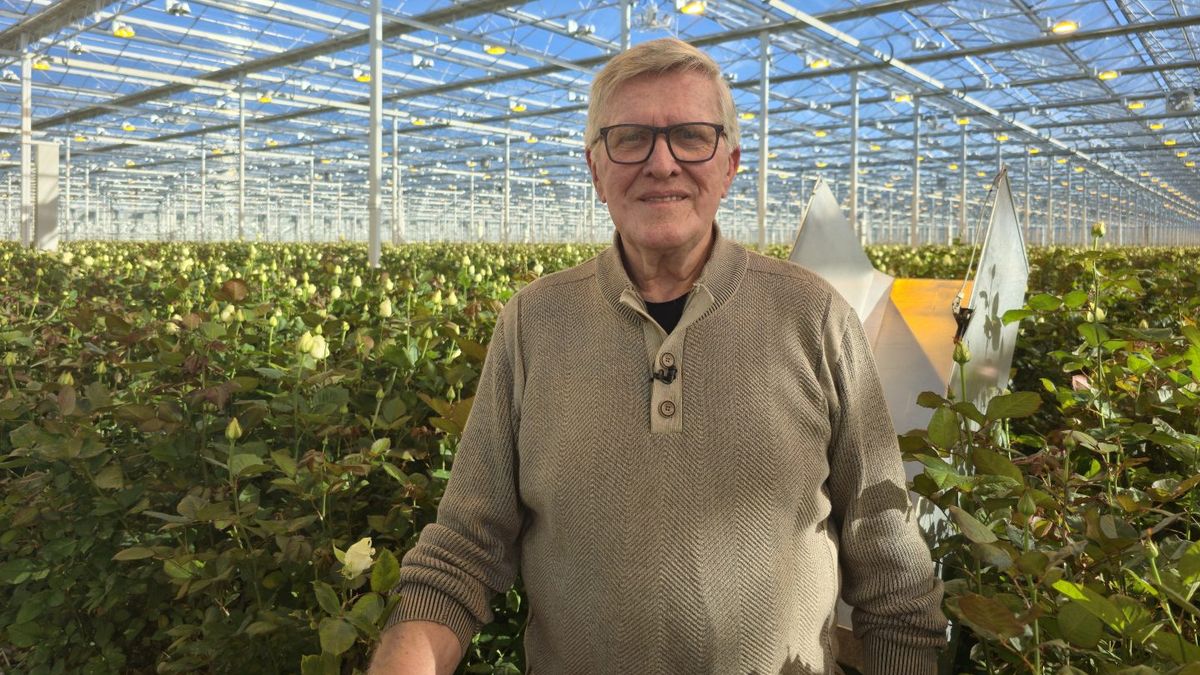 Piet (80) verzorgt de paasbloemen bij de paus: 'Ik had de tijd en durfde het aan'