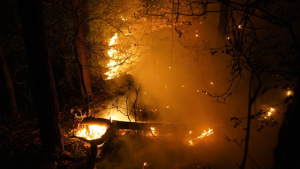 Opnieuw natuurbrand tussen Kessel en Helden: brandstichting niet uitgesloten