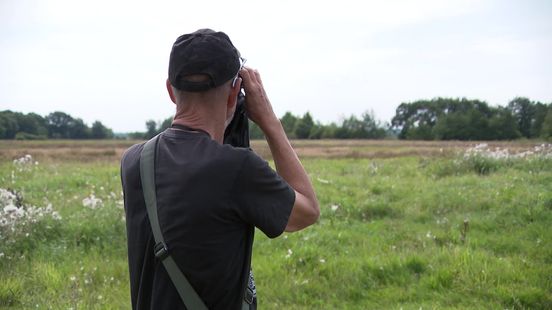 Zeldzame grijze vogel laat zich zien in natuurgebied bij Lieveren
