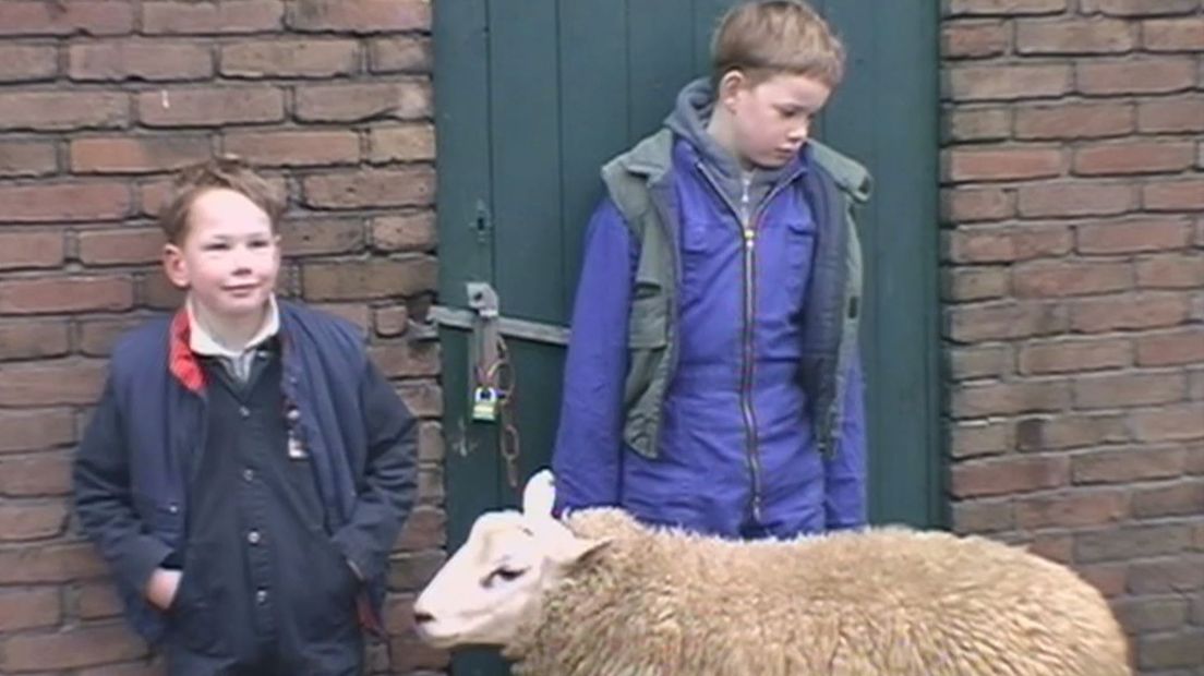 Thijmen (l), Ward-Jan en Pieter het schaap proberen de dieren  te redden