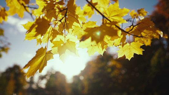 Recordtemperaturen mogelijk in Gelderland na het weekend: '30 graden niet uitgesloten'