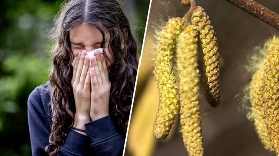 Explosie van pollen: hooikoorts barst weer los