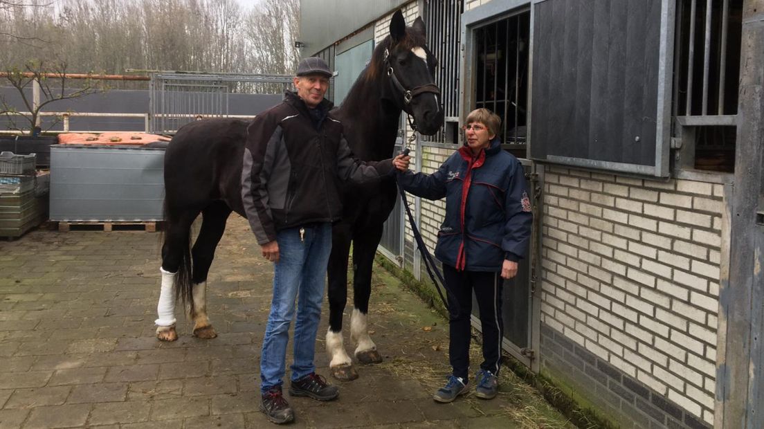 Ben en Carola Knijnenburg met het gewonde paard