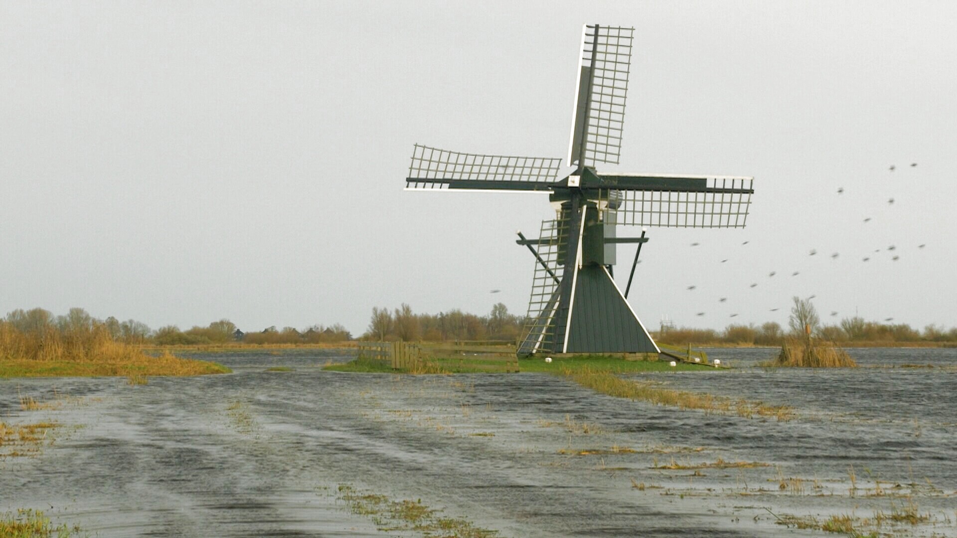 Geaupoldermûne, Toppenhuzen