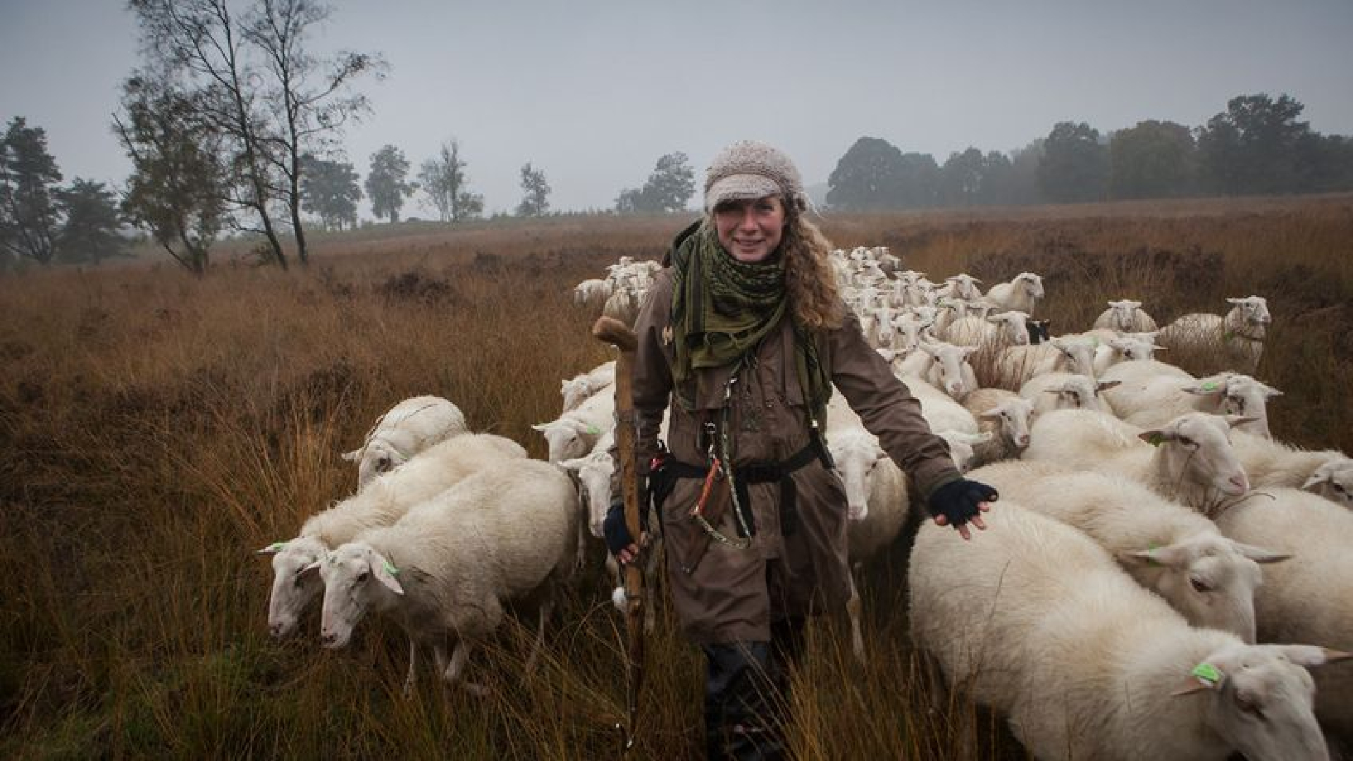 Schaapherders kunnen opgelucht ademhalen