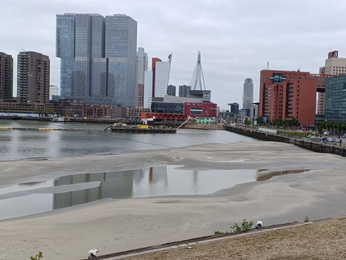Land in zicht bij de Rijnhaven