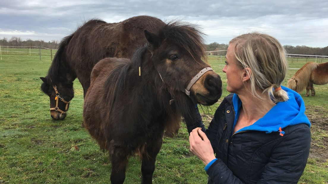 Hester de Groot mei har ponnys