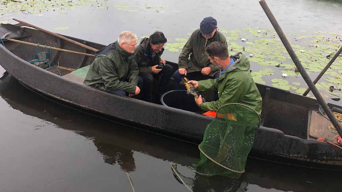 Beroepsvissers: vis die in de Kop van Overijssel is gevangen, moet daar ook worden gegeten